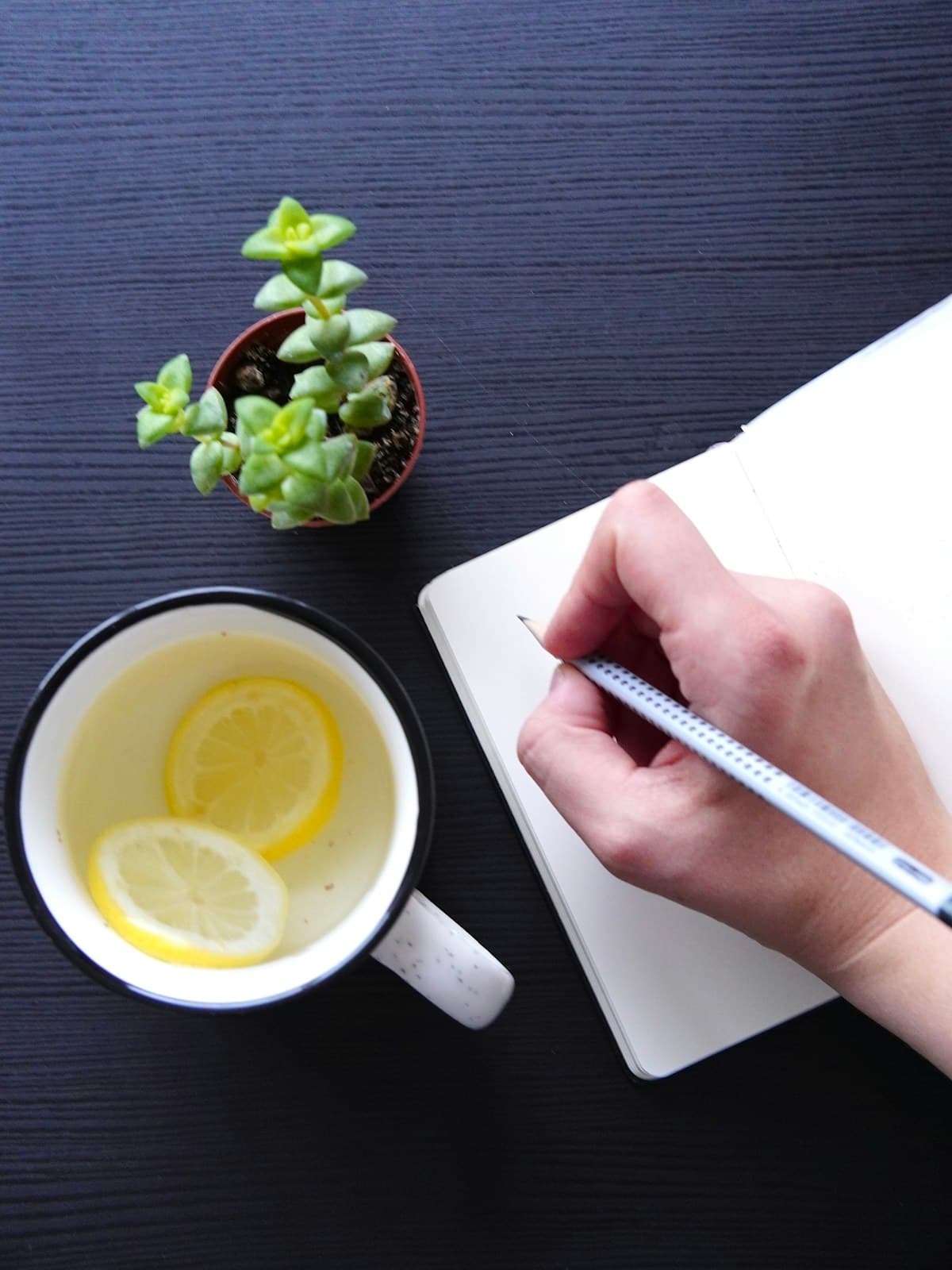 A hand writing in a notebook beside a glass of lemon water and a small plant